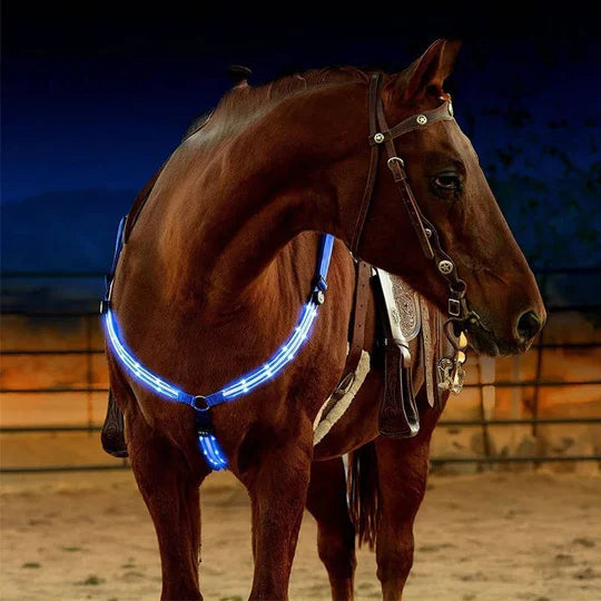 LED Breast Collar Horse